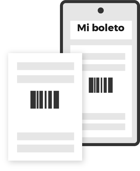 Recibe Boleto